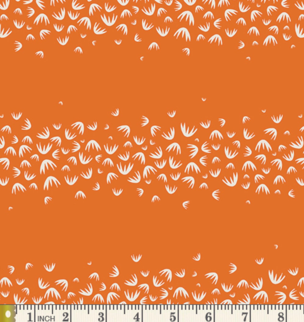 Magija Pumpkin - Tallinn- AGF