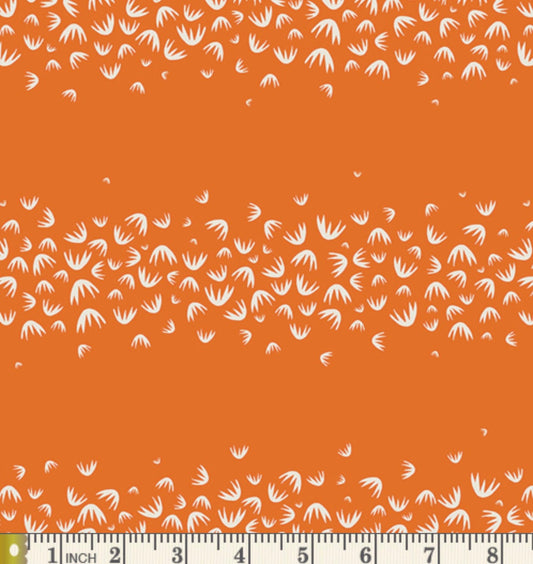 Magija Pumpkin - Tallinn- AGF