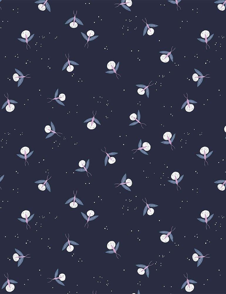 Rae Ritchie - Fireflies - Dear Stella