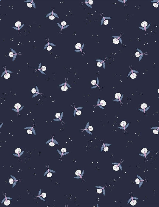 Rae Ritchie - Fireflies - Dear Stella