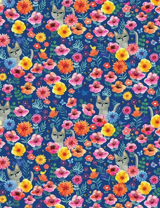 Miriam Bos - Where's Kitty? - Catitude - Dear Stella