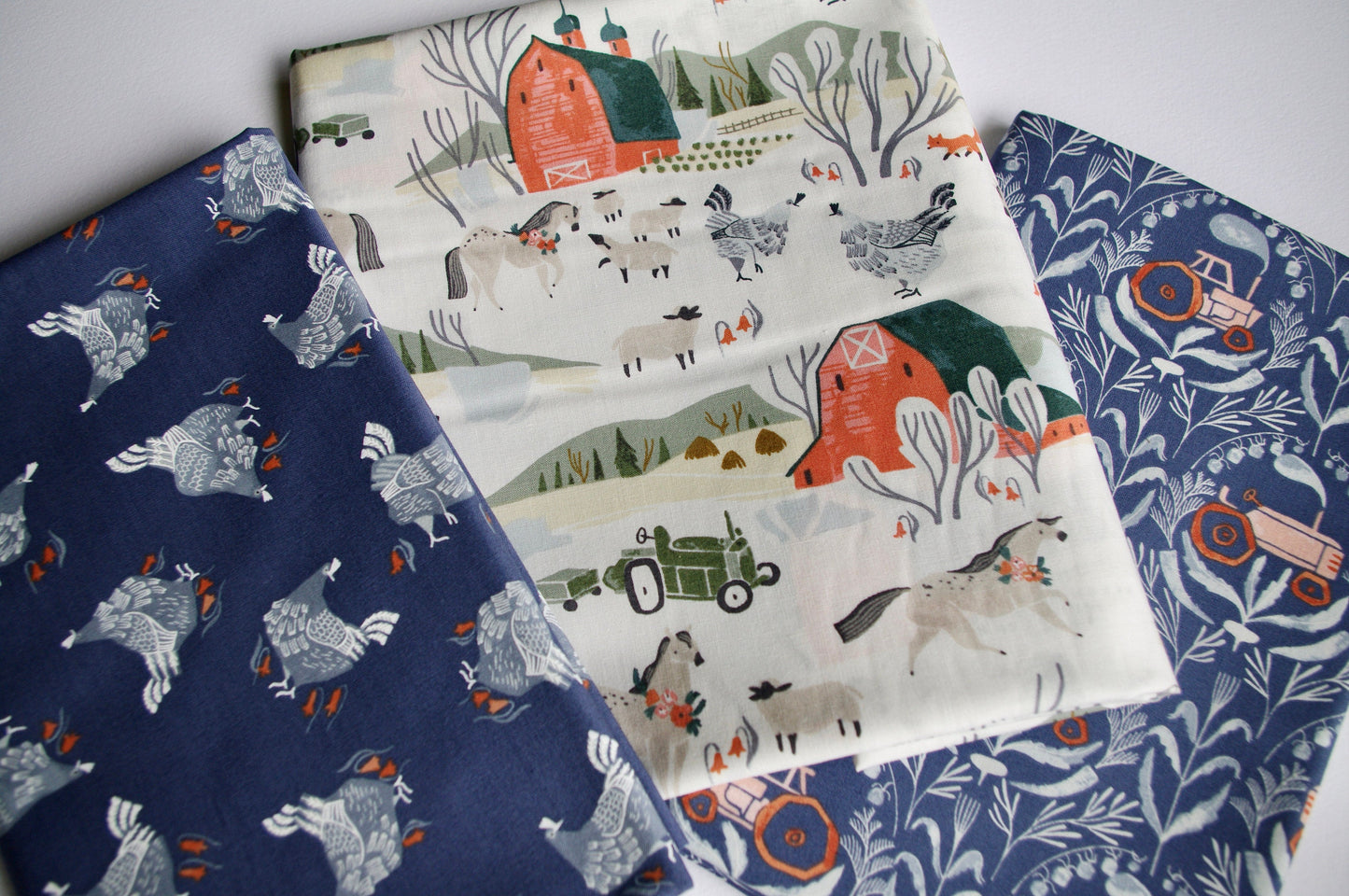 Rae Ritchie - Poppy Prairie - Dear Stella