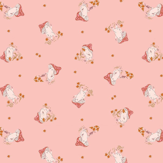 Rae Ritchie- MUSHROOMS - Shine On - Dear Stella