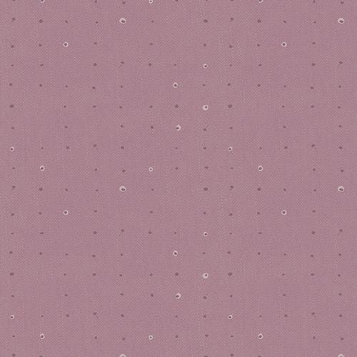 Katarina Roccella - Seeds  Mauve - Seedling AGF Designer Essentials