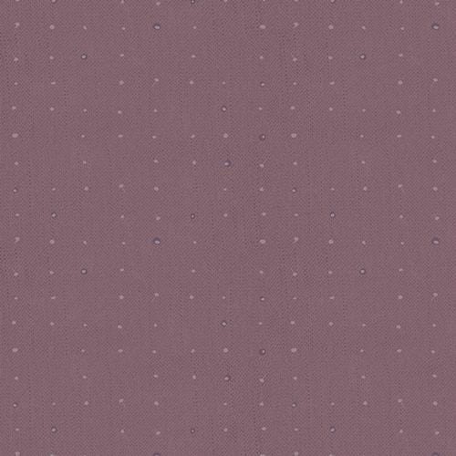 Katarina Roccella - Seeds  Plum - Seedling AGF Designer Essentials