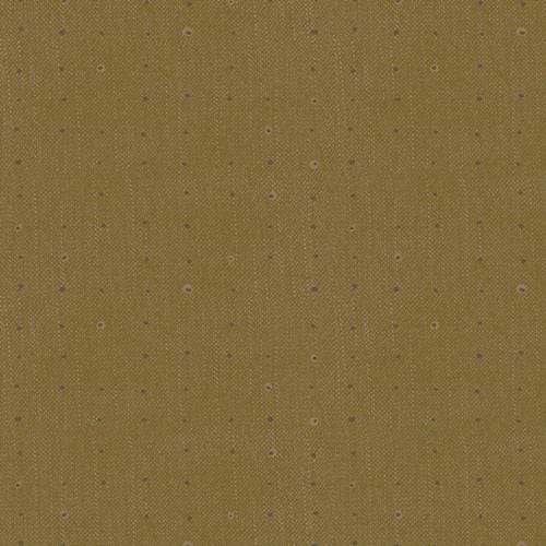 Katarina Roccella - Seeds Olive - Seedling AGF Designer Essentials