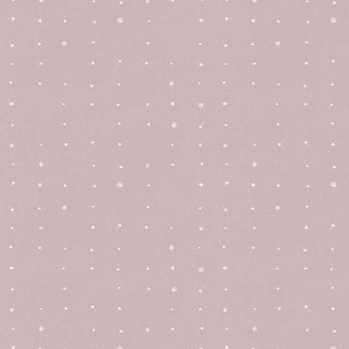 Katarina Roccella - Seeds Lilac - Seedling AGF Designer Essentials