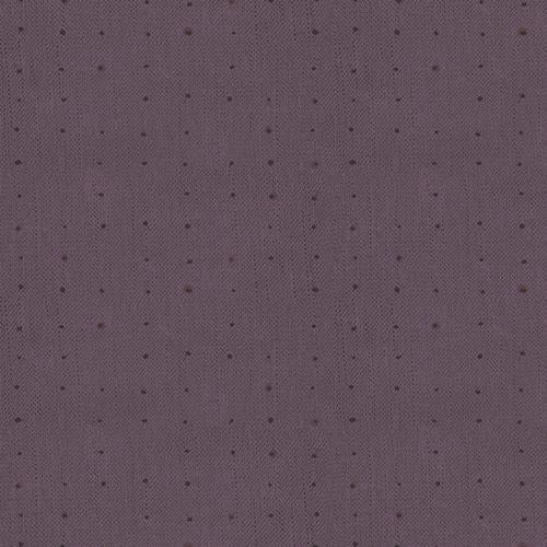 Katarina Roccella - Seeds Huckleberry - Seedling AGF Designer Essentials