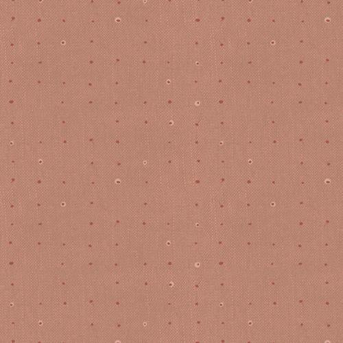Katarina Roccella - Seeds Copper - Seedling AGF Designer Essentials