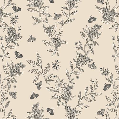 AGF Studio -  Growing Herbs  -   Season & Spice