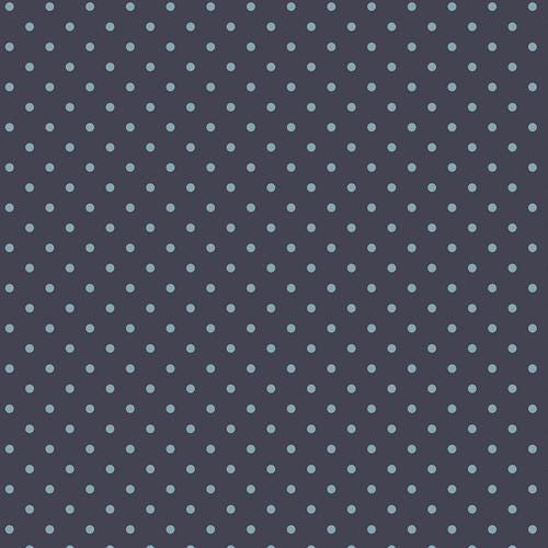 Amy Sinibaldi -  Petits Dots Midnight -   Les Petits