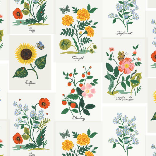 Rifle Paper Co. -  Curio - Botanical Prints - Pink Multi Fabric -  Cotton+Steel